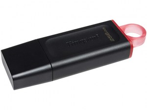 Memoria Flash USB Kingston - USB flash drive - 256 GB